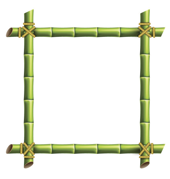 绿竹框架孤立在白色图片下载