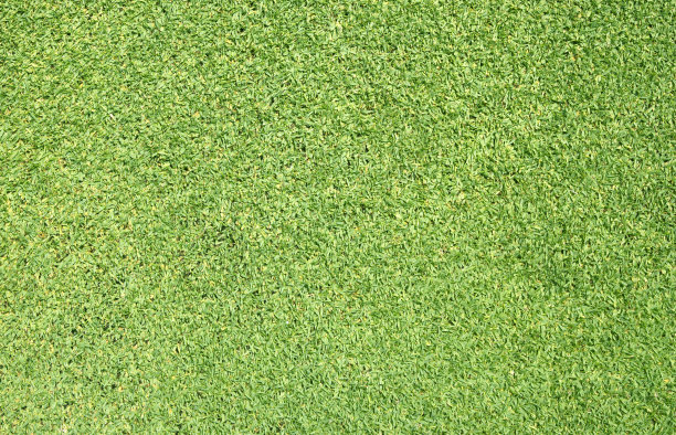 草绿色的背景图片下载