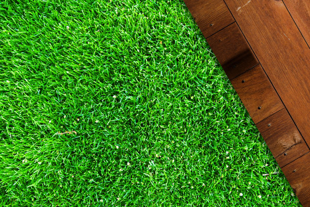 玄关的背景图片下载