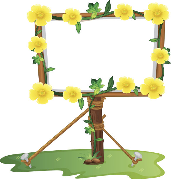 框架模板与黄色毛茛花图片下载