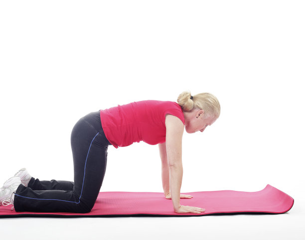 猫或骆驼伸展图片下载