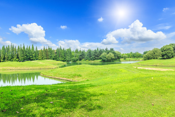 夏天的绿草和天空图片下载