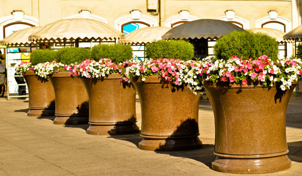街道用鲜花图片下载