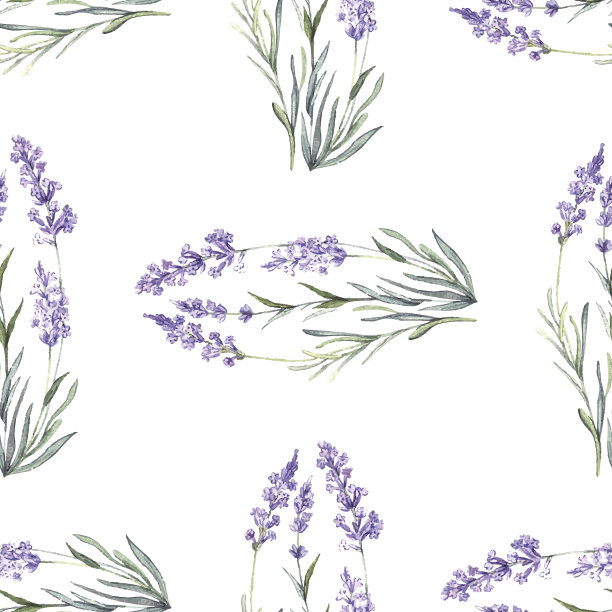 水彩花薰衣草图案图片下载