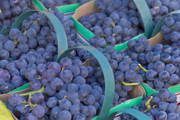 葡萄,嗯?图片下载