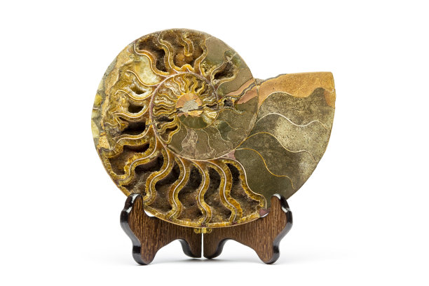 减半亚扪人图片下载