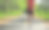 年轻的健身女子跑步伸展腿跑步在早晨热带森林小径图片下载