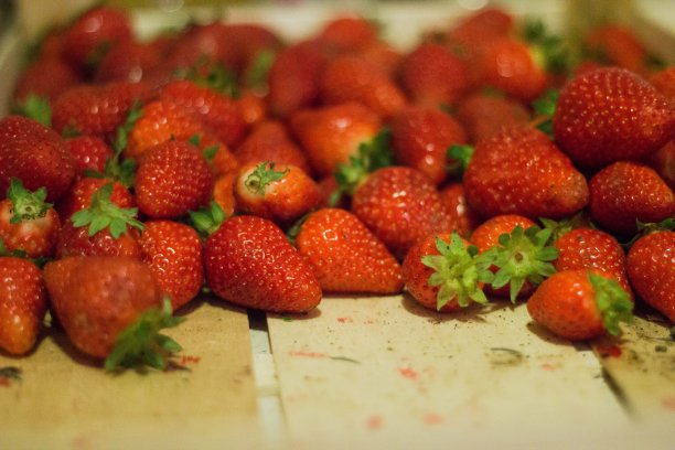 草莓的季节图片下载