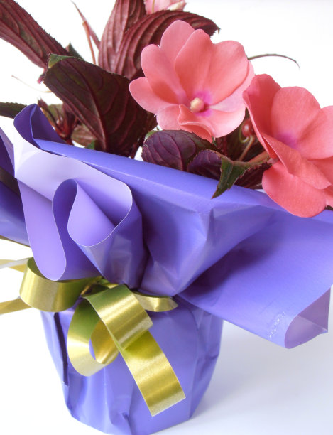 庆祝的一天图片下载