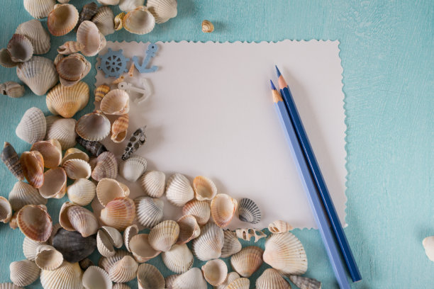 用纸和笔在蓝色背景上的贝壳。图片下载