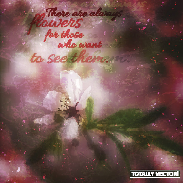 春天开花分支图片下载