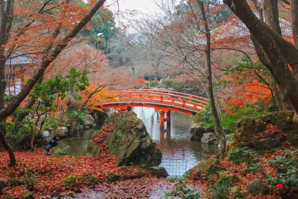 秋天的叶子图片下载