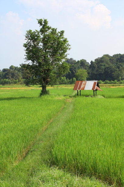 营农场图片下载