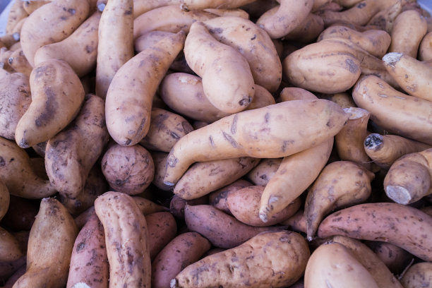 市场上的新鲜山药图片下载