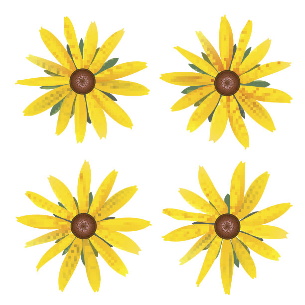 一组孤立的芽黄色雏菊与叶。矢量彩色花在白色的背景。适用于t恤、时装、印花等设计的模板图片下载