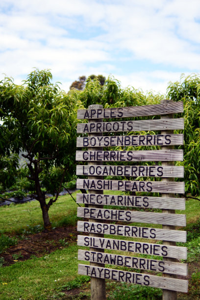 水果农场图片下载