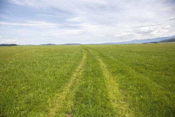 穿过绿色草地的乡间小路图片下载