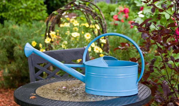 喷壶……在花园的背景下图片下载