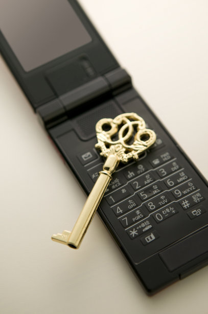 移动电话图片下载