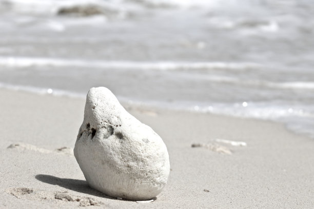 白色的石头图片下载