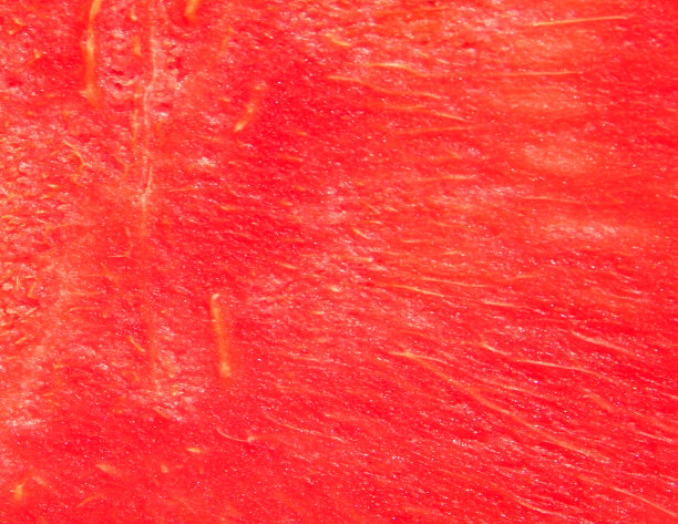 红西瓜的果肉。图片下载