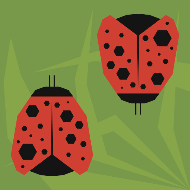 有趣的卡通瓢虫孤立在绿色背景图片下载