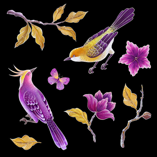 装饰鸟，鸣禽插图，蝴蝶，花和叶子，异国情调的自然剪辑艺术设置，花卉设计元素孤立在黑色的背景图片下载