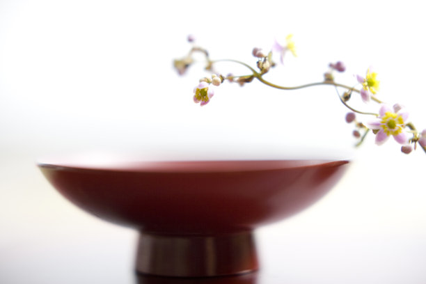 鸡karamatsu图片下载