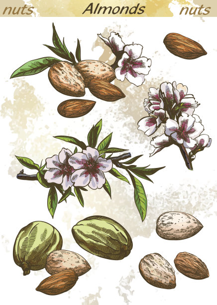 杏仁色图片下载