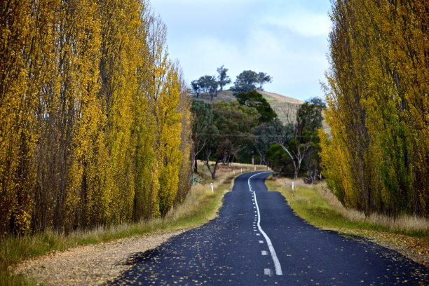 秋天的路径图片下载