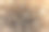 马蜂窝有许多洞，其中许多洞是由天然材料制成的。图片下载