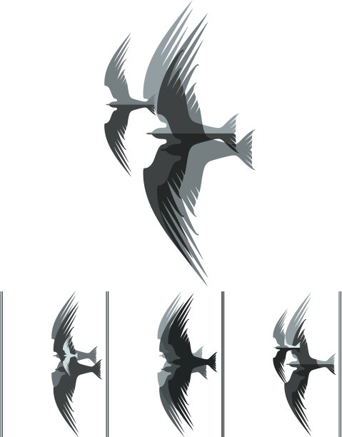 群鸟。图片下载