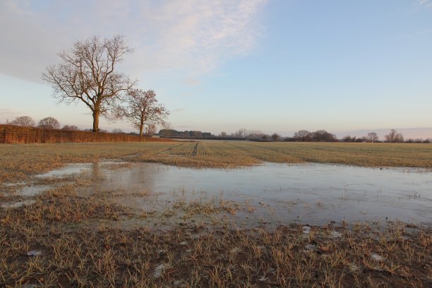 冷冻水坑在作物图片下载