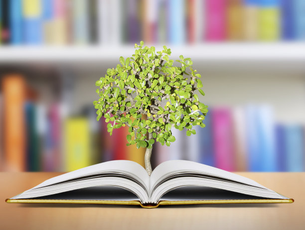 打开书图片下载