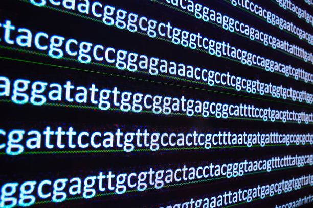 基因组测序。图片下载
