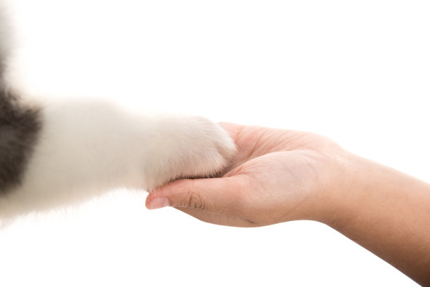 给我五图片下载