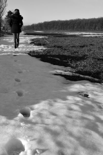 雪的步骤图片下载