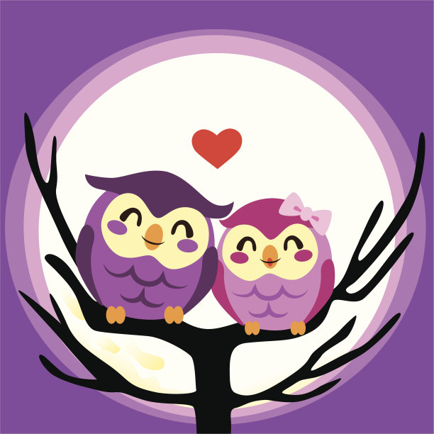 猫头鹰爱几个图片下载