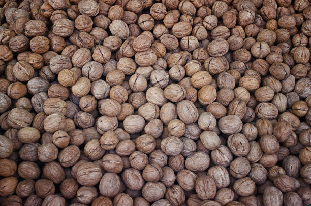 胡桃壳图片下载