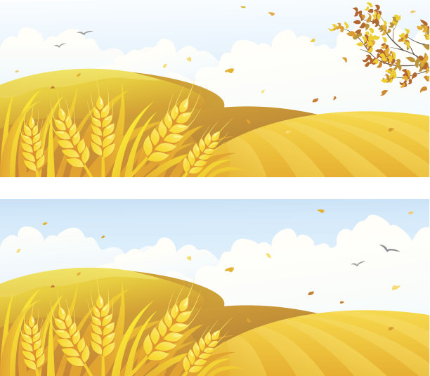 秋季作物横幅图片下载