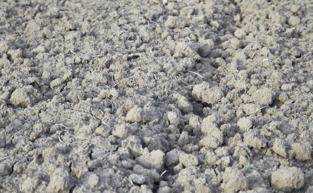土壤质地图片下载