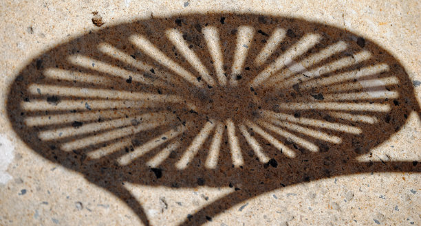 光与影图片下载