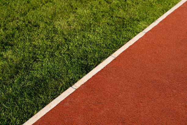 公园里的橡胶人行道图片下载