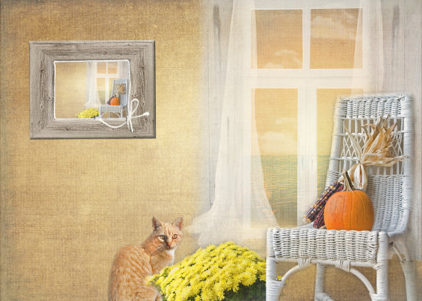 秋天有妈妈的虎斑猫图片下载