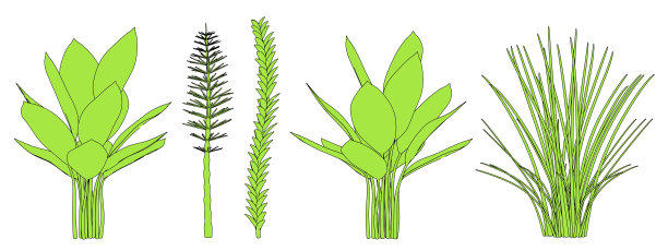 水生植物图片下载