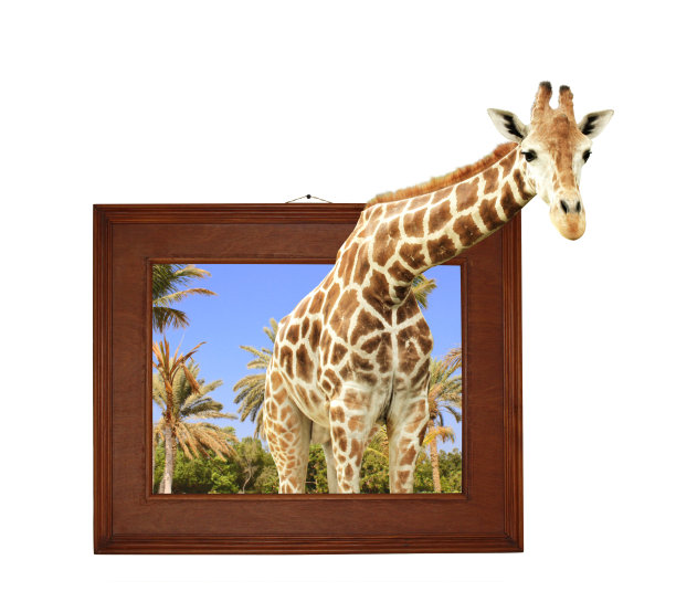 长颈鹿在木框架与3d效果图片下载