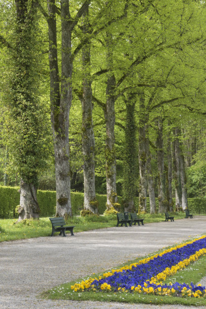 公园里的长椅图片下载