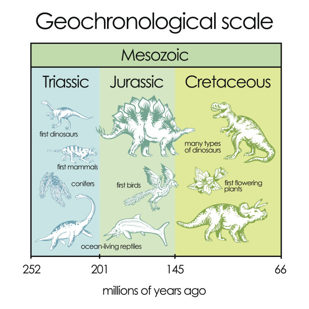 学规模。第四部分-中生代图片下载