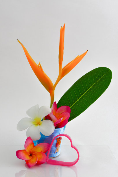 花的静物图片下载