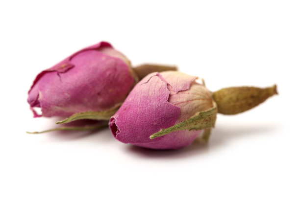 白底玫瑰泡茶图片下载